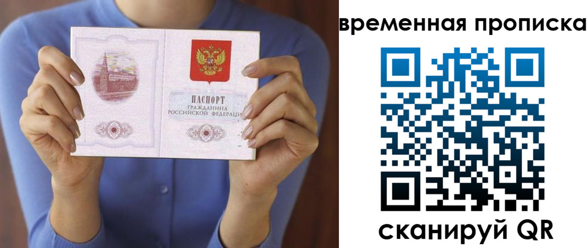 прописка поиск в Шатуре